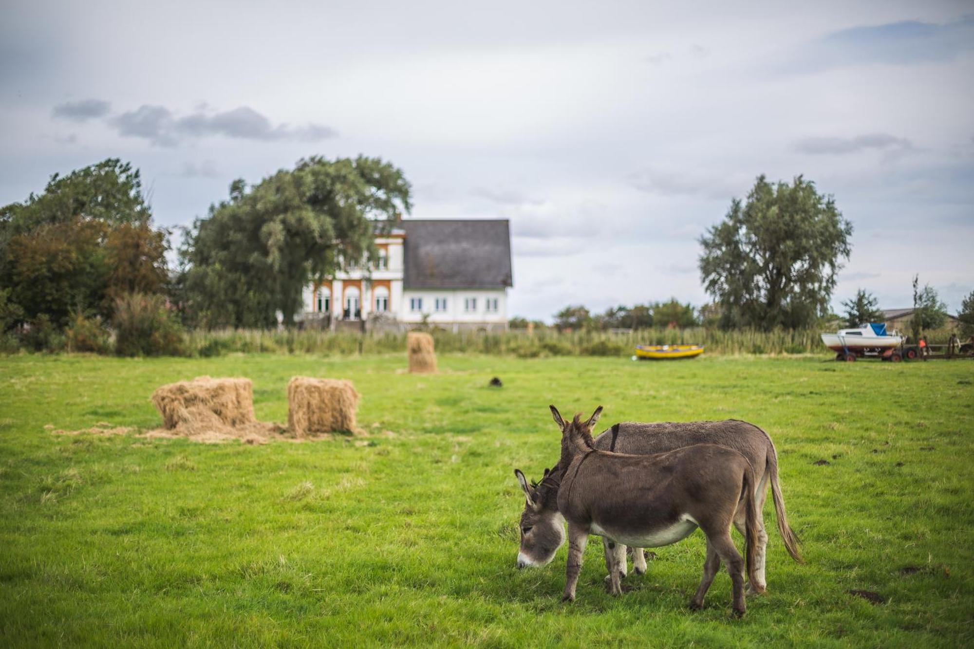 Gasthaus Hohenwarte Højer Exterior foto